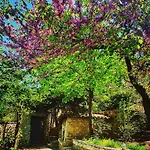 فندق Kyriaki &