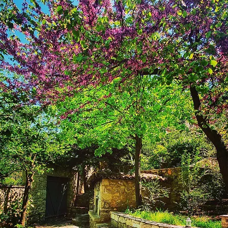 Hotel Kyriaki &