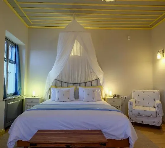 Kyriaki & 4* Αμφίκλεια