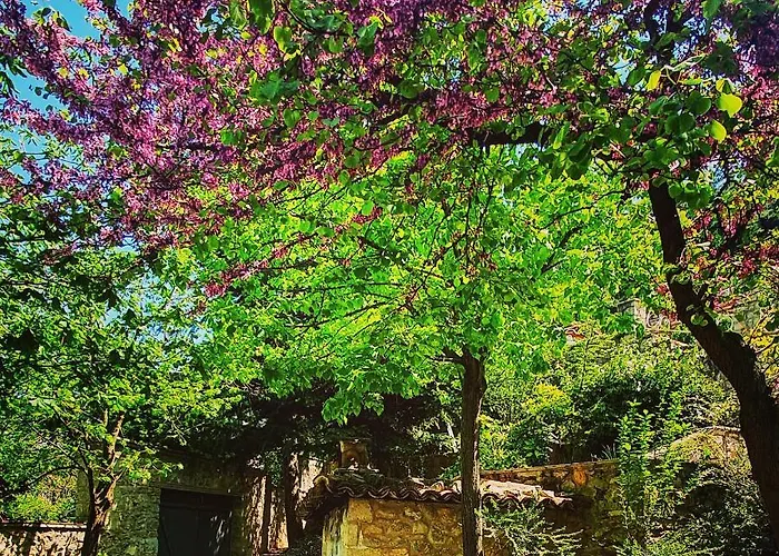 Ξενοδοχείο Kyriaki &